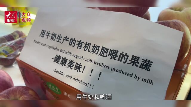 好品山东进澳门|“奶肥”可不是胖,这种化肥让苹果、小米都离不开