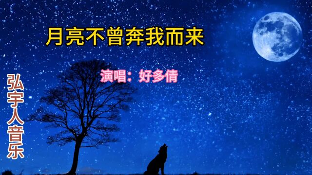 抖音热榜歌曲好多倩《月亮不曾奔我而来》