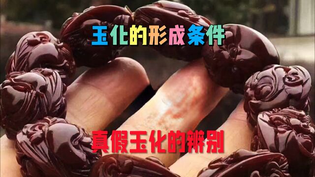 玉化的形成条件