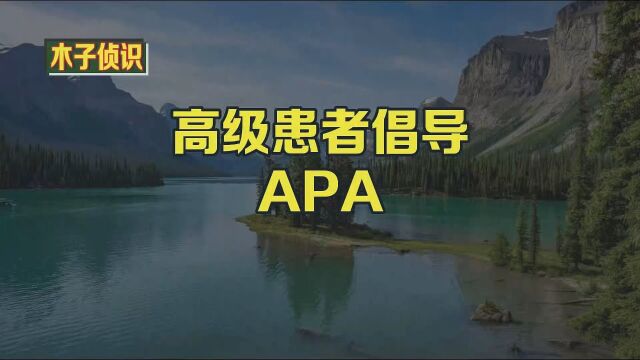 高级患者倡导APA