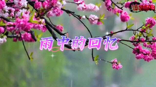 经典老歌《雨中的回忆》