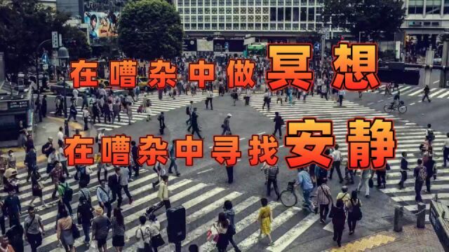 【瞎冥想】第6天,在嘈杂的环境中做冥想