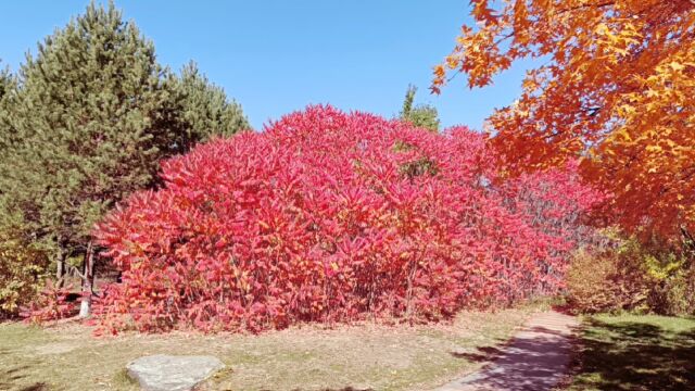 走走停停,不要错过路上的风景