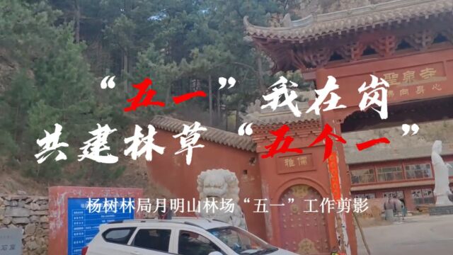 杨树林局月明山林场”五一“坚守岗位,共建林草“五个一”