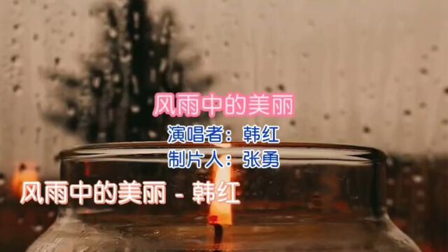 韩红专辑 第3首《风雨中的美丽》韩红