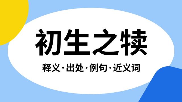 “初生之犊”是什么意思?