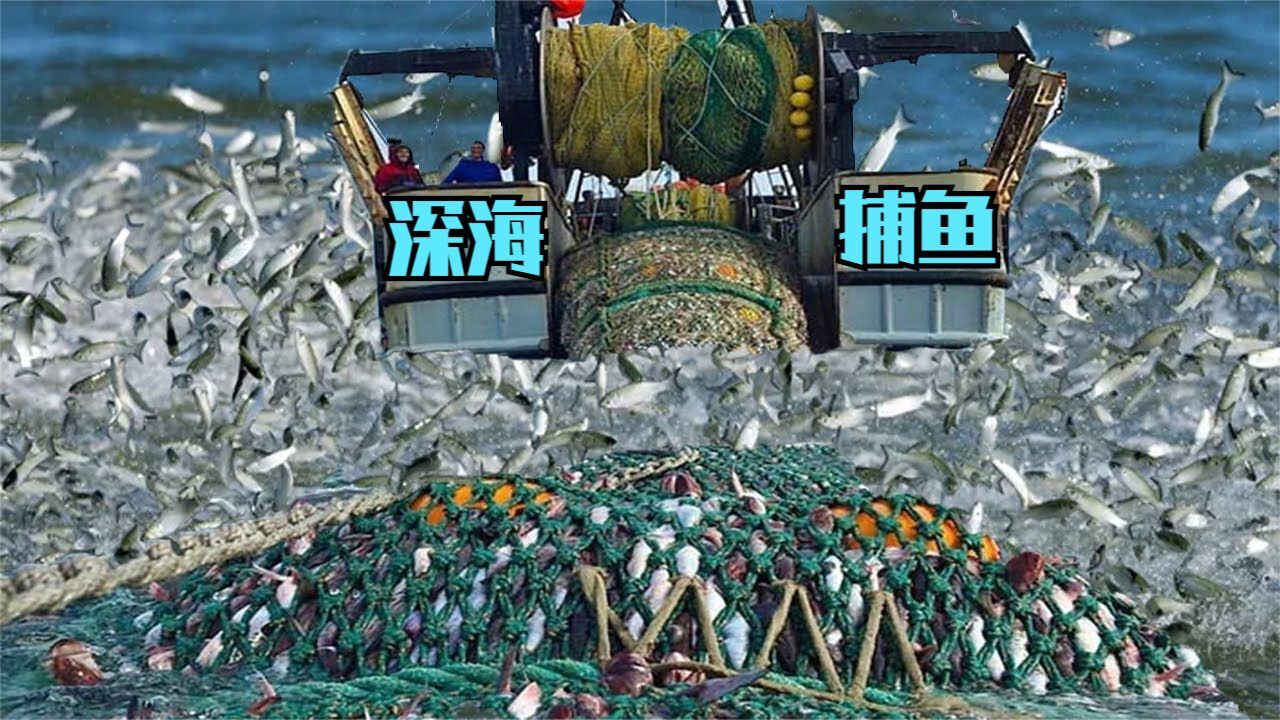 海底拖网,底拖网(第2页)_大山谷图库