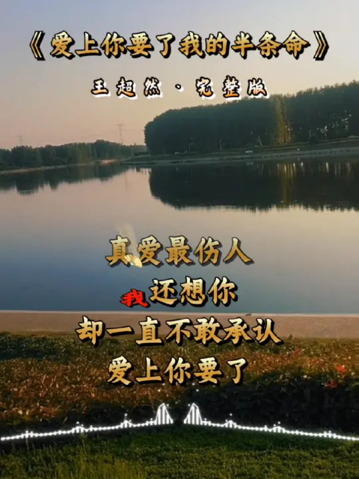 一段拼了半条命的感情 #始于心甘情愿终于愿赌服输 #愿所有真情都不