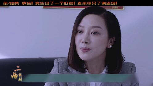 40 状告! 竟告出了一个好官! 直接惊呆了调查组!