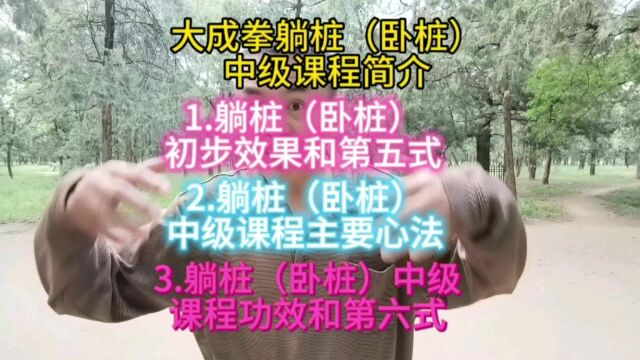 躺桩(卧桩)不仅是特殊虚弱人士的福音,还能更有效炼气化神!大成拳躺桩(卧桩)中级课程简介