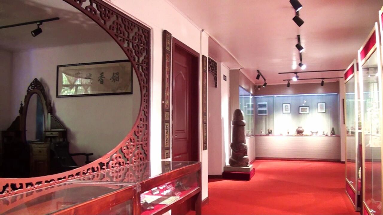 红巷博物馆群第五届文化周启幕 走进武汉达临生命文化博物馆