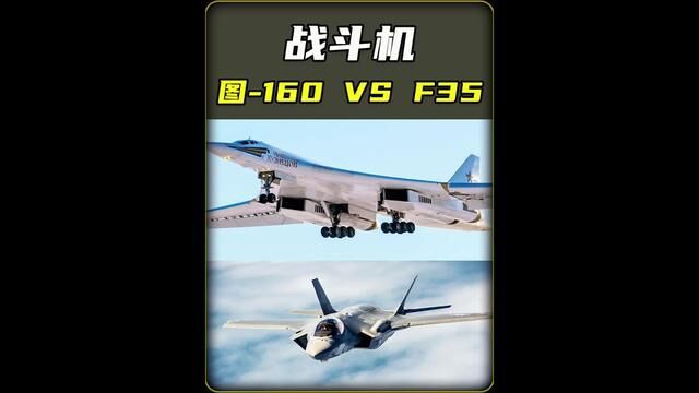 F35战斗机拦截图160轰炸机#F35战斗机 #图160轰炸机 #军事科技 #逐梦蓝天 #燃军情 #飞行视角 #俄乌冲突