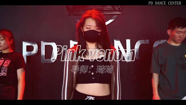 PD DANCE |琦琦老师成人JAZZ课堂《Pink venom》