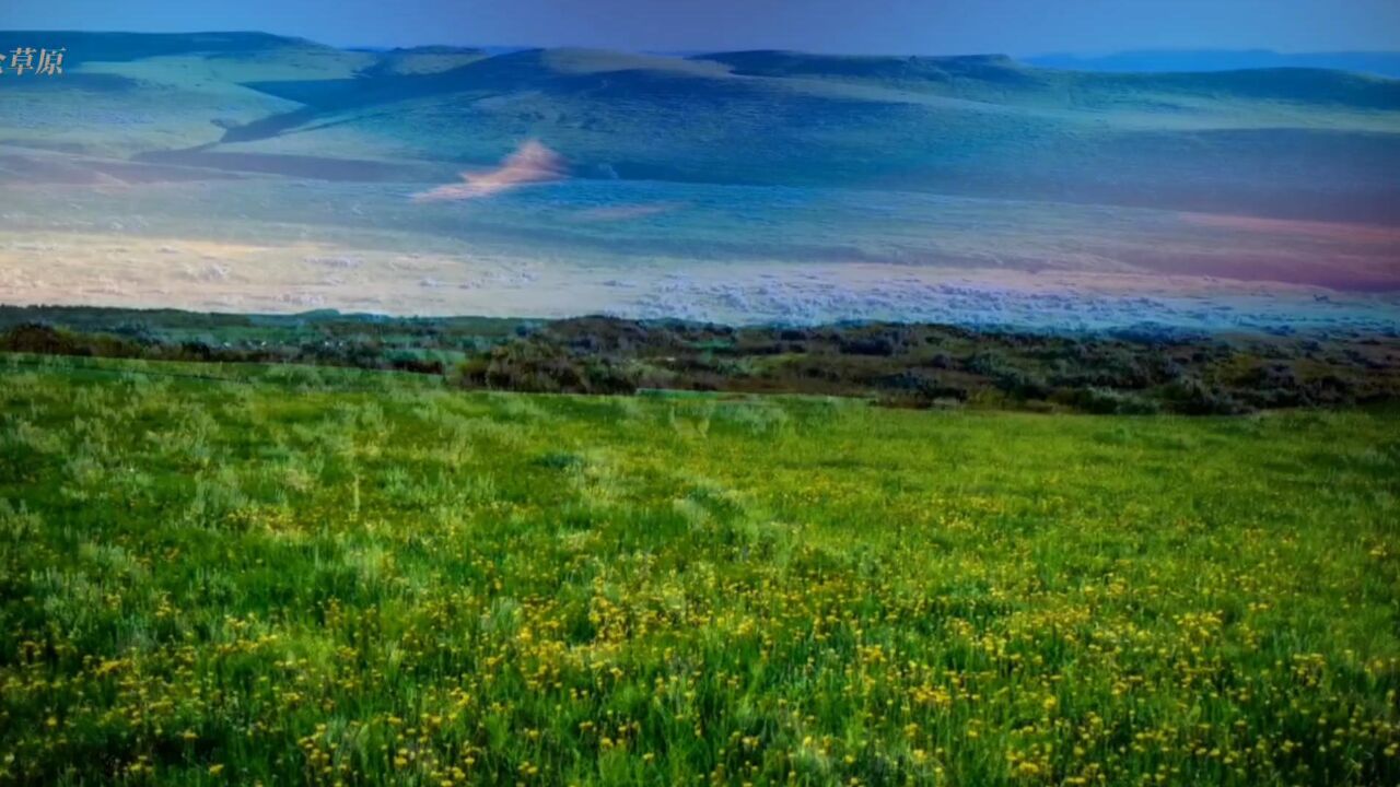 《额仑草原》天籁之音,云飞嗓音清脆悠扬动听