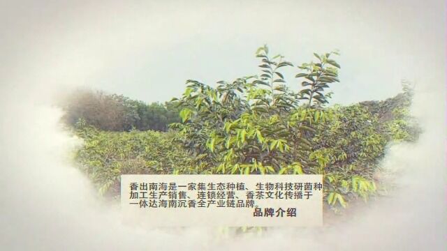 香出南海基地讲解完整版