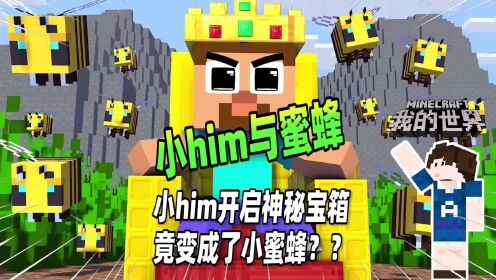 我的世界：小him无意间打开了神秘宝箱，竟变成了蜜蜂般大小_高清