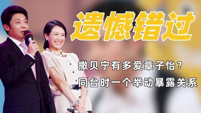 内娱意难平:章子怡和撒贝宁高调秀恩爱,张译等候植物人女友十年