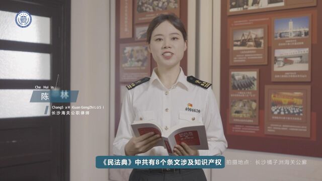 《民法典》之知识产权篇