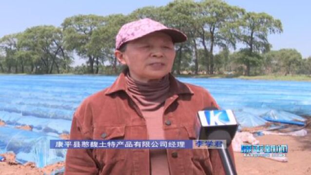 三年行动首战之年——康平县擂响战鼓 蓄力突破⑤ | 全面推进 续写康平乡村振兴新篇章