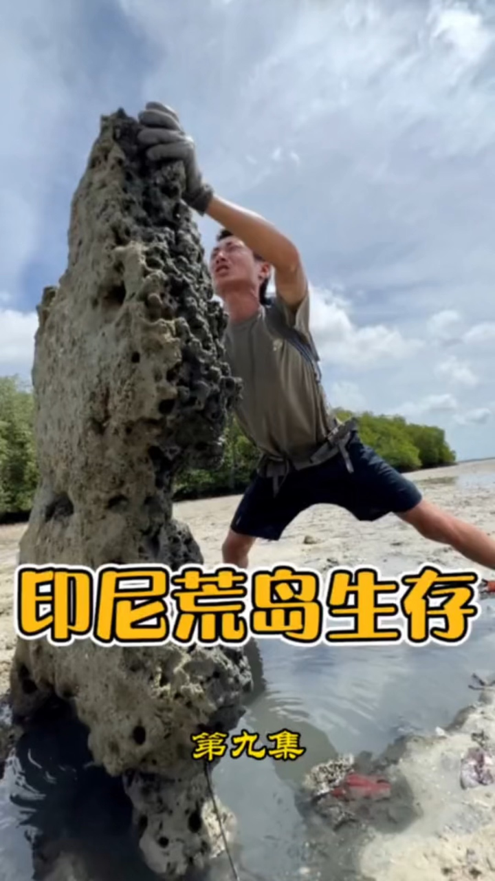 印尼李王群岛生存挑战第九集，今天跌大潮带粉丝赶海收获满满。_高清1080P在线观看平台_腾讯视频