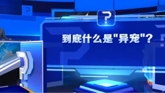 为何走私“异宠”不宜宠?到底什么是“异宠”