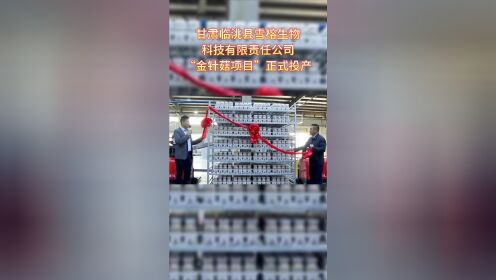 甘肃临洮县雪榕生物科技有限责任公司“金针菇项目”正式投产