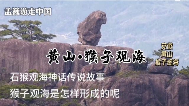 黄山怪石“猴子观海”,写进小学语文课本里的景点,怎样形成的呢