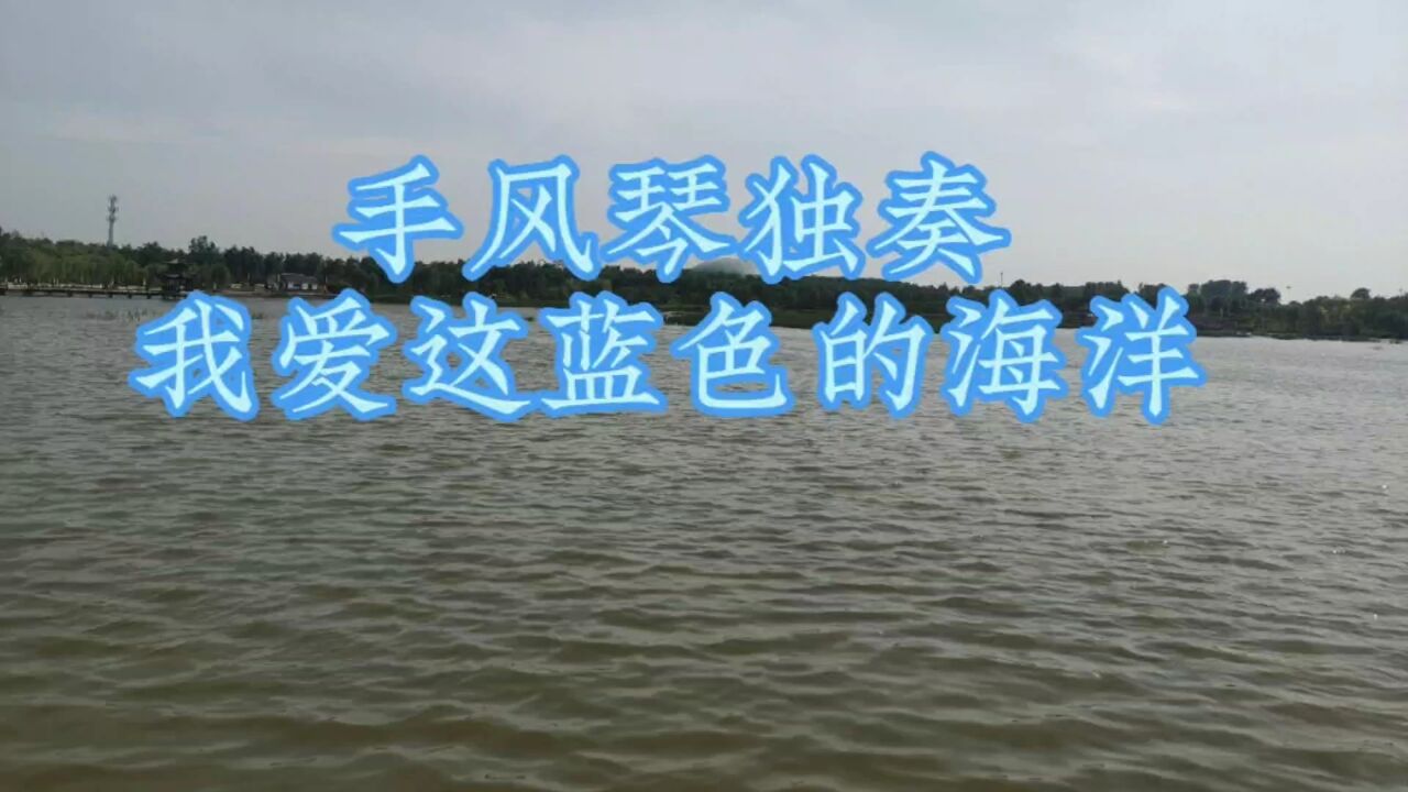 手风琴独奏《我爱这蓝色的海洋》