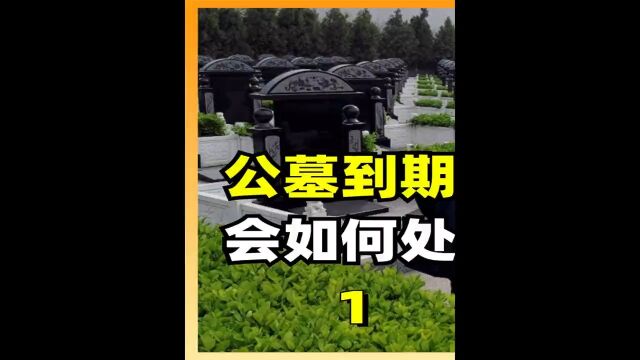 公墓只能使用20年,如果到期无人愿意续费,会如何处理骨灰呢?1公墓墓地涨知识