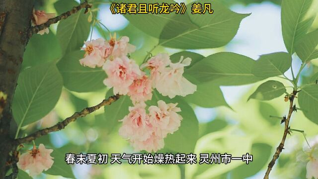 《诸君且听龙吟》◇姜凡全文阅读【全章节】