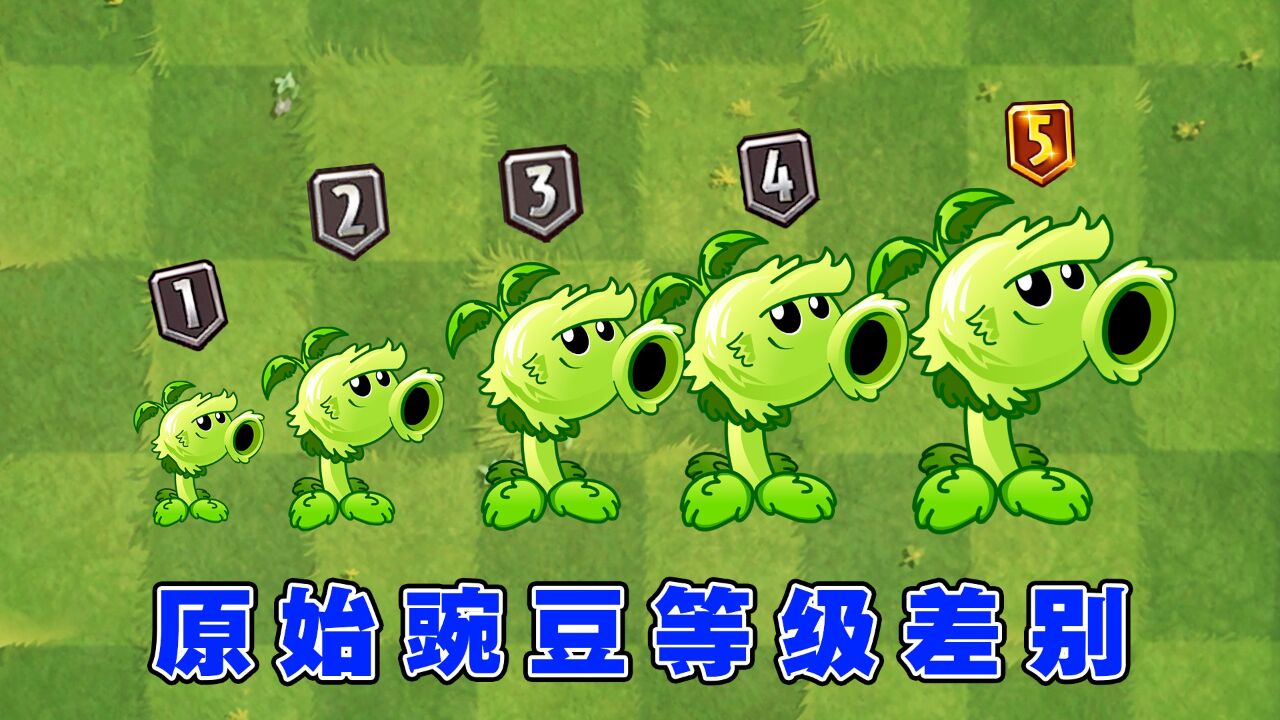 植物大战僵尸:1至5阶的原始豌豆射手,实力差别有多大?