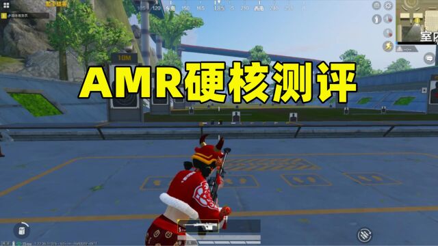 AMR全方位硬核测评,伤害独一档,有1个属性拖后腿