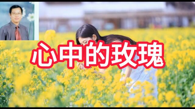 《心中的玫瑰》书法家@徐以富 演唱