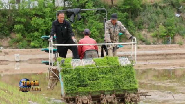 甘泉县道镇:“稻+”模式正在开启 田园综合体绘出振兴好风景