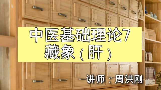 【中医基础理论】第七讲——藏象(肝)(上集)