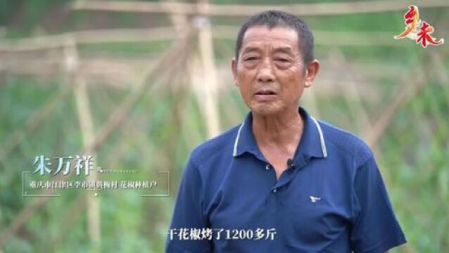 江津,如此多“椒”!