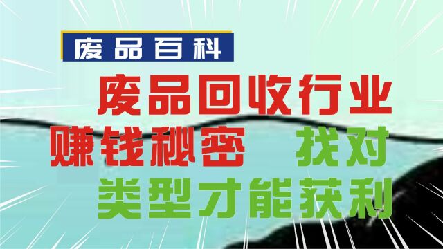 发现废品回收行业的赚钱秘密:找对类型才能获利!