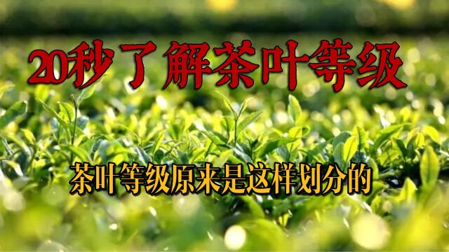 简单好记,20秒了解茶叶等级,40年老茶农都不一定知道