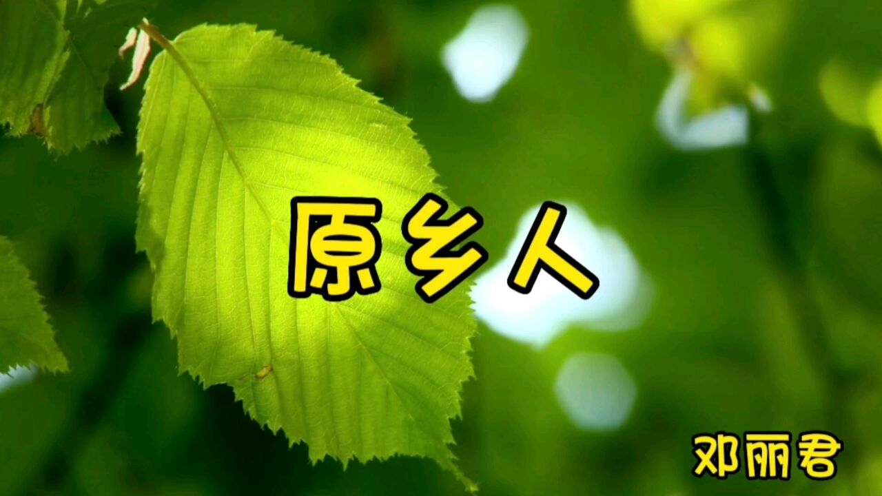 那些年优美的旋律,经典歌曲回放,原乡人,邓丽君