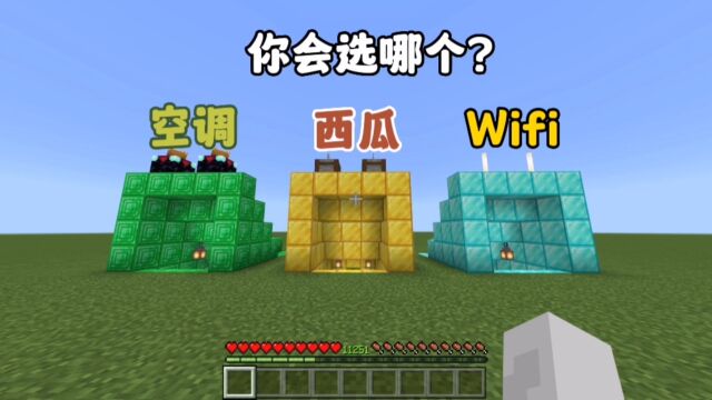 我的世界:空调西瓜Wifi三选一你会选哪个?