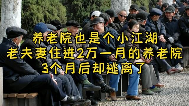 七旬夫妻住进2万一月的养老院,3个月后逃离:养老院也是个小江湖 #晚年养老 #养老院的真实生活 #社会百态