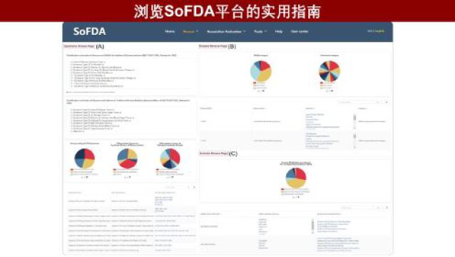 iMeta | 张彦琼/许海玉/周雪忠联合开发基于SoFDA病证方关联的本体表征、富集分析和相似度计算评价