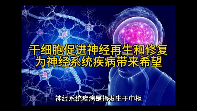 干细胞促进神经再生和修复,为神经系统疾病带来希望