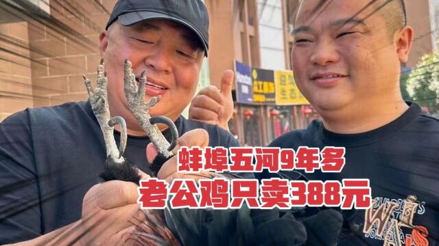 蚌埠五河小伙干大厨20年,9年多老公鸡只卖388,15斤鱼头红烧