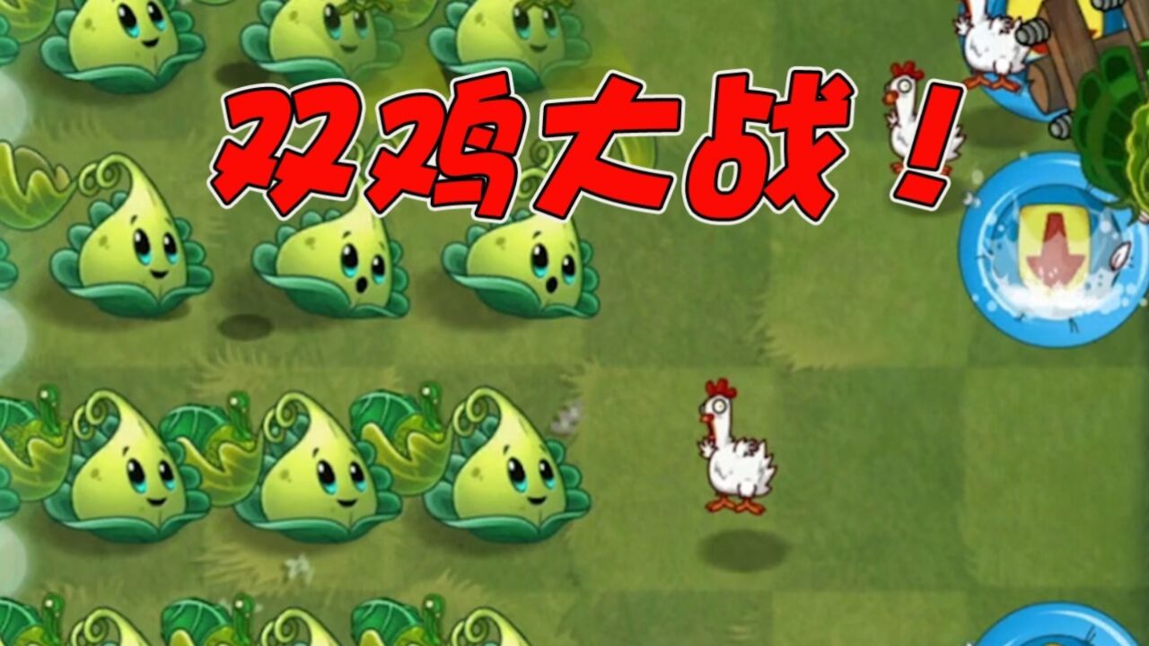 植物大战僵尸:当火鸡遇上僵尸鸡,哪只鸡会更强呢?