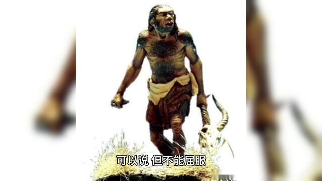 今日话题:中国人最大的信仰是什么?