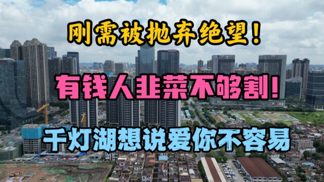 佛山千灯湖大平层豪宅的货量与房价直逼广州,为何刚需被无情抛弃?未来在千灯湖买房的有钱人还够用吗?