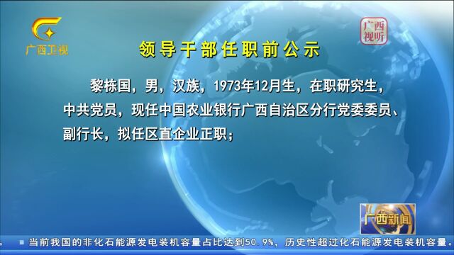 领导干部任职前公示:黎栋国、林卫