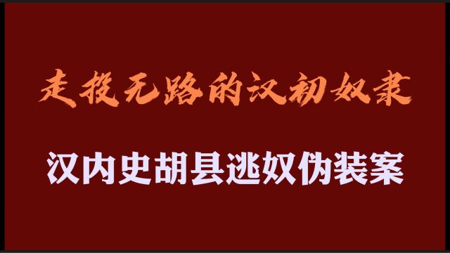 汉内史胡县逃奴伪装案:走投无路的汉初奴隶