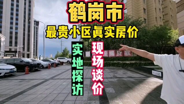 黑龙江省鹤岗市真实房价之最顶级小区,鬼哥实地探房,现场谈价,全程纪实拍摄